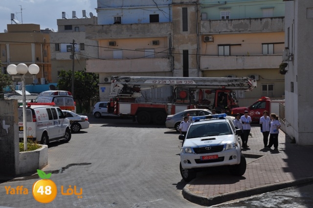 fireshekonatelarab (19).JPG